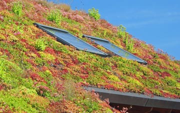 Cock Street living roof systems