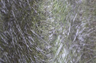 Cock Street fibreglass roof work